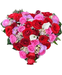 Composizione a cuore di rose miste